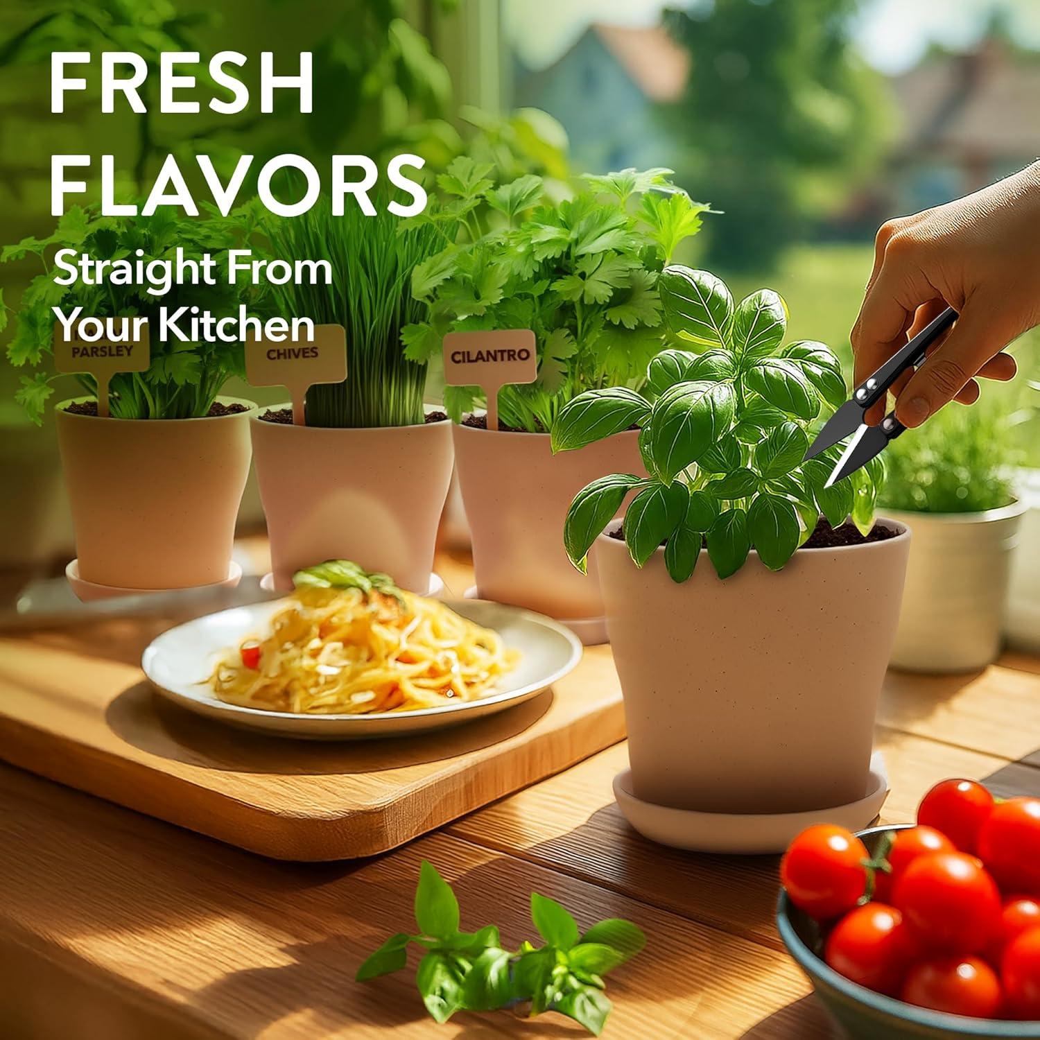 imageHOME GROWN Herb Seed Kit  Includes 4 Heirloom Herb Seeds Packets Pots ampamp Organic Soil  Easy Indoor NonGMO Gardening Gift Set for Beginners  Great Gift for Christmas and Other Holidays