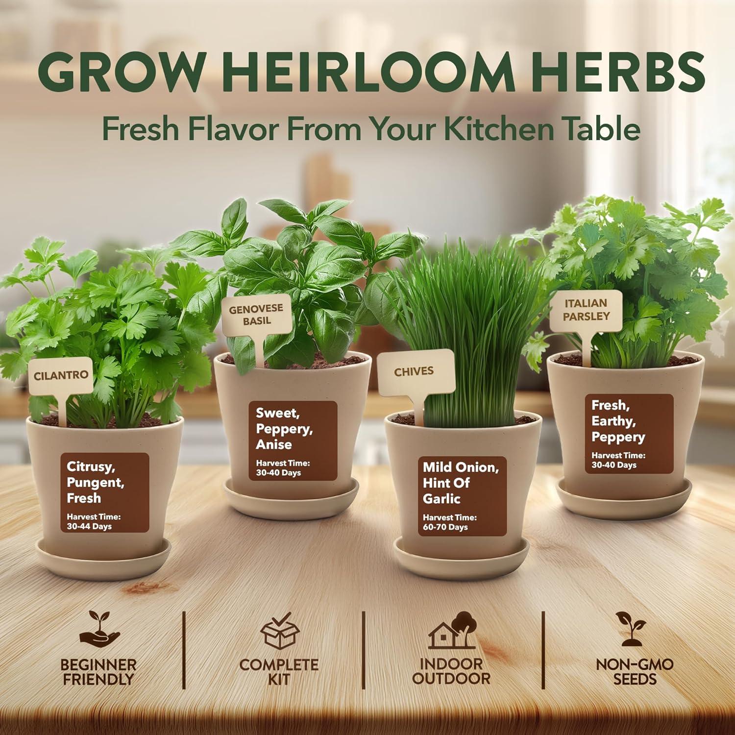 imageHOME GROWN Herb Seed Kit  Includes 4 Heirloom Herb Seeds Packets Pots ampamp Organic Soil  Easy Indoor NonGMO Gardening Gift Set for Beginners  Great Gift for Christmas and Other Holidays