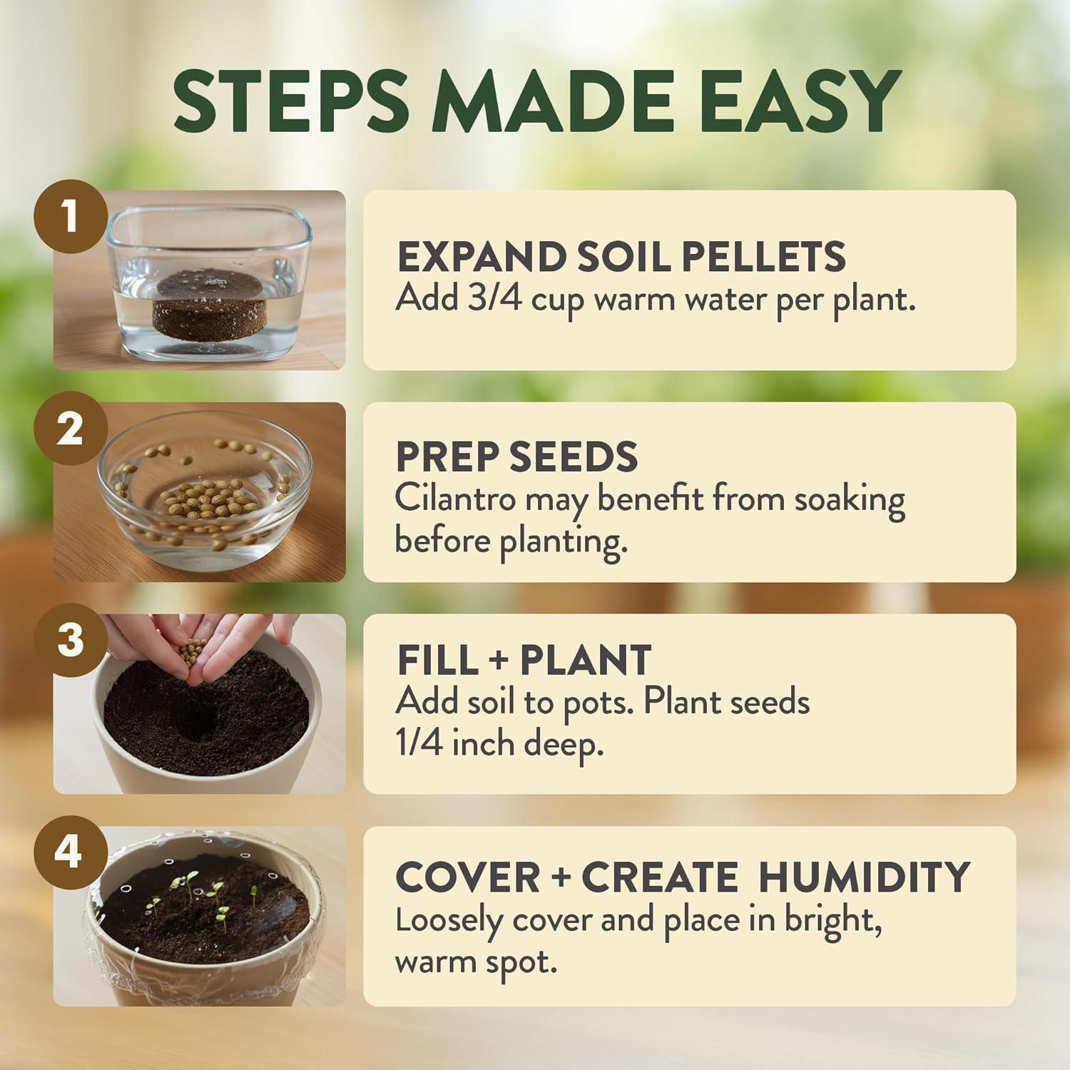 imageHOME GROWN Herb Seed Kit  Includes 4 Heirloom Herb Seeds Packets Pots ampamp Organic Soil  Easy Indoor NonGMO Gardening Gift Set for Beginners  Great Gift for Christmas and Other Holidays