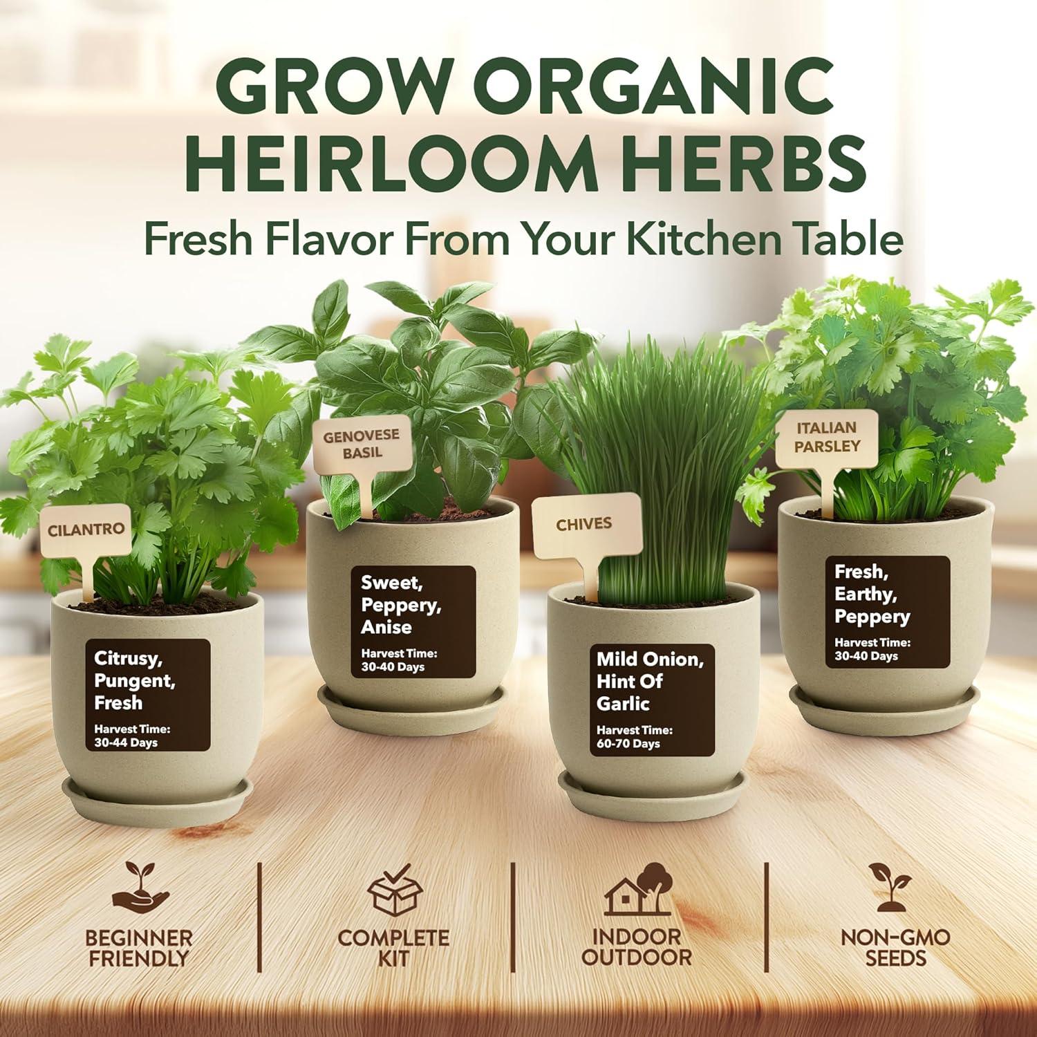 imageHOME GROWN Organic Herb Garden Kit  4 Herb Seeds Soil Pots Tools ampamp Grow Guide  Grow Basil Parsley Cilantro ampamp Thyme Indoors  USDA Organic NonGMO Ideal Gift for Christmas ampamp Thanksgiving