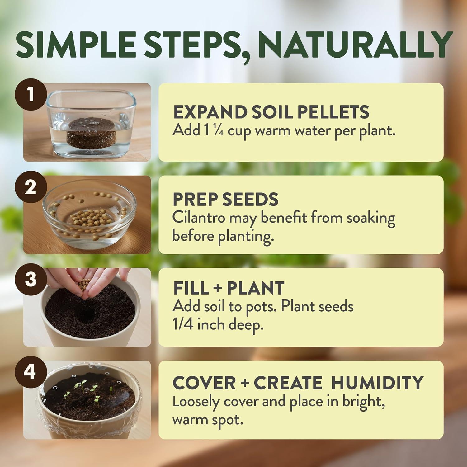 imageHOME GROWN Organic Herb Garden Kit  4 Herb Seeds Soil Pots Tools ampamp Grow Guide  Grow Basil Parsley Cilantro ampamp Thyme Indoors  USDA Organic NonGMO Ideal Gift for Christmas ampamp Thanksgiving