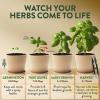 imageHOME GROWN Herb Seed Kit  Includes 4 Heirloom Herb Seeds Packets Pots ampamp Organic Soil  Easy Indoor NonGMO Gardening Gift Set for Beginners  Great Gift for Christmas and Other Holidays