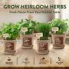 imageHOME GROWN Herb Seed Kit  Includes 4 Heirloom Herb Seeds Packets Pots ampamp Organic Soil  Easy Indoor NonGMO Gardening Gift Set for Beginners  Great Gift for Christmas and Other Holidays