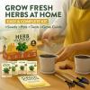 imageHOME GROWN Herb Seed Kit  Includes 4 Heirloom Herb Seeds Packets Pots ampamp Organic Soil  Easy Indoor NonGMO Gardening Gift Set for Beginners  Great Gift for Christmas and Other Holidays