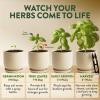 imageHOME GROWN Organic Herb Garden Kit  4 Herb Seeds Soil Pots Tools ampamp Grow Guide  Grow Basil Parsley Cilantro ampamp Thyme Indoors  USDA Organic NonGMO Ideal Gift for Christmas ampamp Thanksgiving