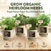 imageHOME GROWN Organic Herb Garden Kit  4 Herb Seeds Soil Pots Tools ampamp Grow Guide  Grow Basil Parsley Cilantro ampamp Thyme Indoors  USDA Organic NonGMO Ideal Gift for Christmas ampamp Thanksgiving