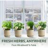 imageHOME GROWN Organic Herb Garden Kit  4 Herb Seeds Soil Pots Tools ampamp Grow Guide  Grow Basil Parsley Cilantro ampamp Thyme Indoors  USDA Organic NonGMO Ideal Gift for Christmas ampamp Thanksgiving