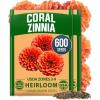 imageHOME GROWN Coral Zinnia Seeds 1g  600 Zinnia elegans Annual Flower Seeds for Planting Outdoors  Heat Tolerant Easy Summer Flowers to Plant  Herb Seed Companion for Pollinator Garden Beds for 2026Zinnia Coral 2pk