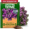 imageHOME GROWN Non GMO Genovese Basil Seeds Pack 1750 High Germination Heirloom Seeds Ocimum basilicum Herb Seeds for Planting Indoor amp Outdoor Gardening for Culinary UseCreeping Thyme