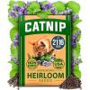 Catnip
