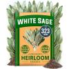 imageHOME GROWN Non GMO Genovese Basil Seeds Pack 1750 High Germination Heirloom Seeds Ocimum basilicum Herb Seeds for Planting Indoor amp Outdoor Gardening for Culinary UseWhite Sage