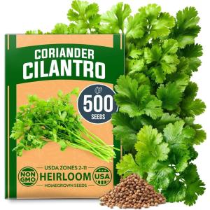 imageHOME GROWN Non GMO Genovese Basil Seeds Pack 1750 High Germination Heirloom Seeds Ocimum basilicum Herb Seeds for Planting Indoor amp Outdoor Gardening for Culinary UseCoriander Cilantro