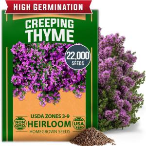 imageHOME GROWN Non GMO Genovese Basil Seeds Pack 1750 High Germination Heirloom Seeds Ocimum basilicum Herb Seeds for Planting Indoor amp Outdoor Gardening for Culinary UseCreeping Thyme