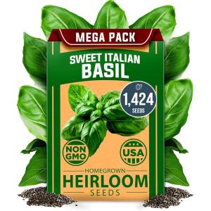 imageHOME GROWN Non GMO Genovese Basil Seeds Pack 1750 High Germination Heirloom Seeds Ocimum basilicum Herb Seeds for Planting Indoor amp Outdoor Gardening for Culinary UseItalian Basil
