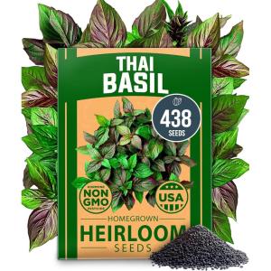 imageHOME GROWN Non GMO Genovese Basil Seeds Pack 1750 High Germination Heirloom Seeds Ocimum basilicum Herb Seeds for Planting Indoor amp Outdoor Gardening for Culinary UseThai Basil