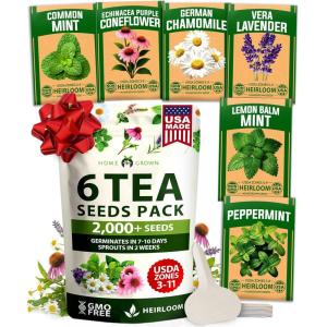 imageHOME GROWN Non GMO Genovese Basil Seeds Pack 1750 High Germination Heirloom Seeds Ocimum basilicum Herb Seeds for Planting Indoor amp Outdoor Gardening for Culinary UseTea Herb