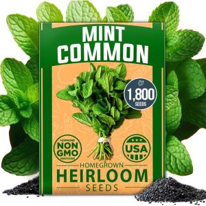 imageHOME GROWN Non GMO Genovese Basil Seeds Pack 1750 High Germination Heirloom Seeds Ocimum basilicum Herb Seeds for Planting Indoor amp Outdoor Gardening for Culinary UseMint Common