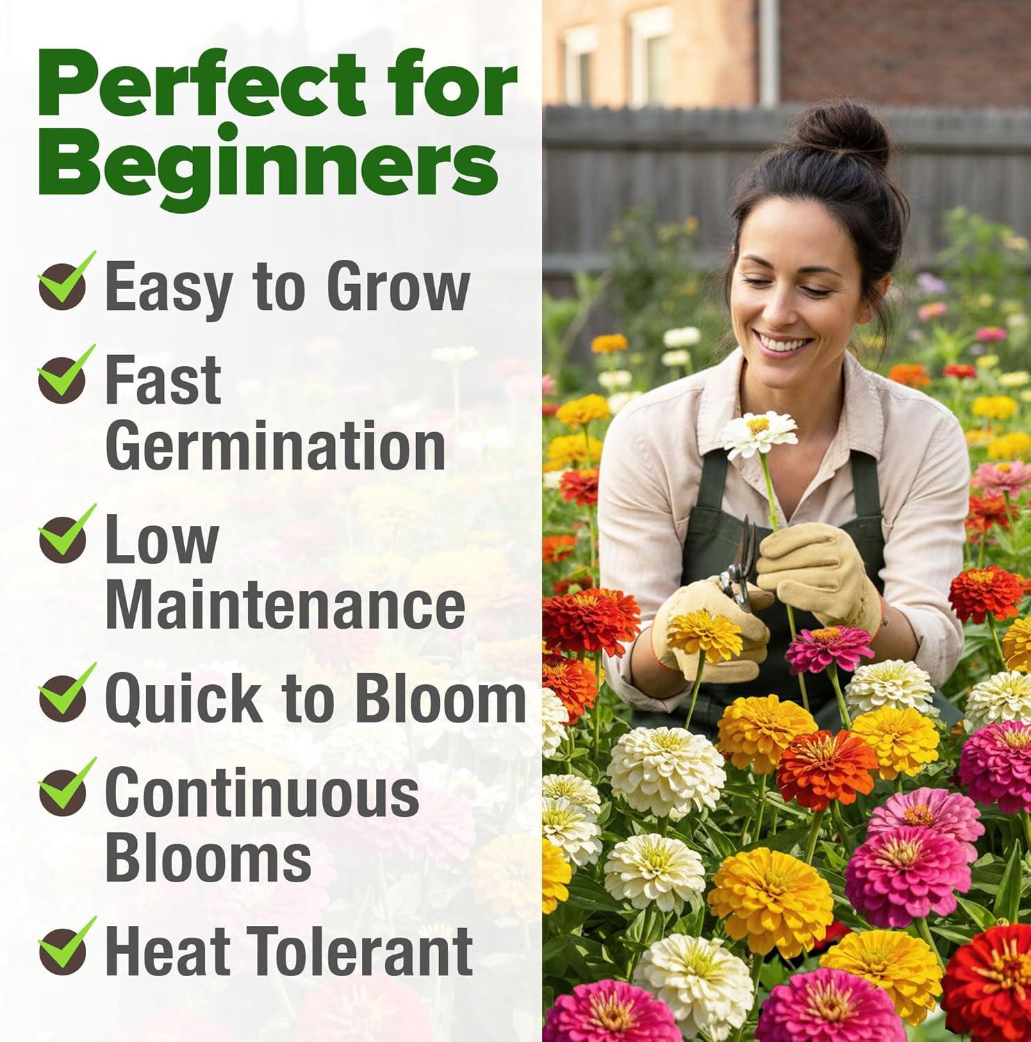 imageHOME GROWN Dwarf Zinnia Seeds Mix  17000 Pumila Zinnia Seeds for 2026  Zinnia Flower Seeds for Planting Outdoors  Bulk Colorful Cut Annual Flowers for Summer Gardens amp Containers Zinnia elegans