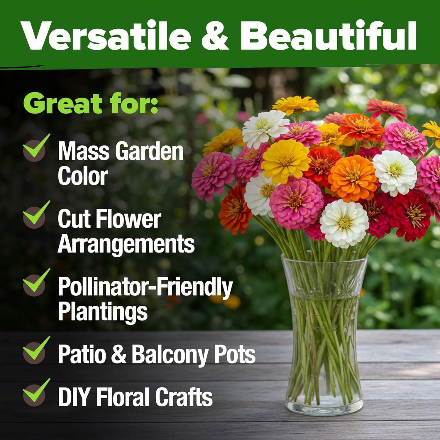 imageHOME GROWN Dwarf Zinnia Seeds Mix  17000 Pumila Zinnia Seeds for 2026  Zinnia Flower Seeds for Planting Outdoors  Bulk Colorful Cut Annual Flowers for Summer Gardens amp Containers Zinnia elegans