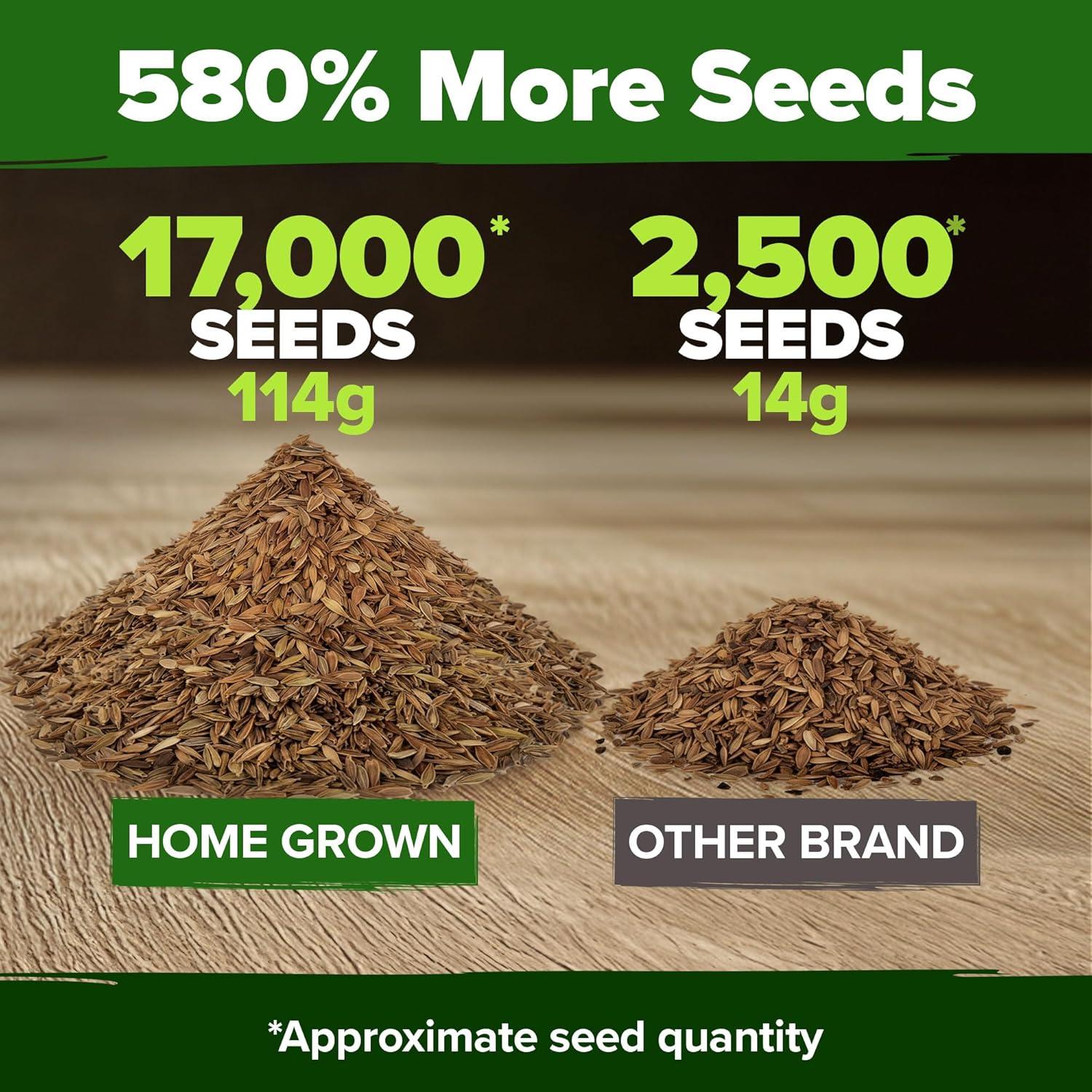 imageHOME GROWN Dwarf Zinnia Seeds Mix  17000 Pumila Zinnia Seeds for 2026  Zinnia Flower Seeds for Planting Outdoors  Bulk Colorful Cut Annual Flowers for Summer Gardens amp Containers Zinnia elegans