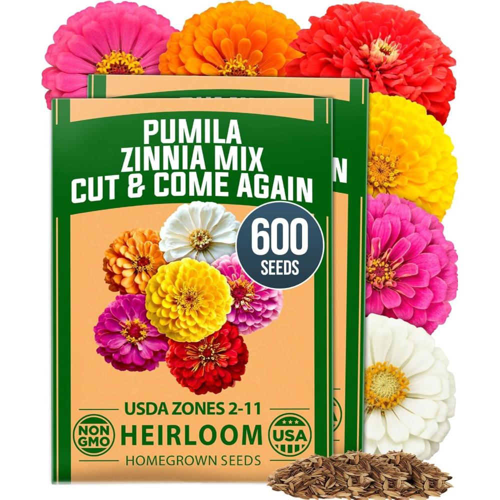 imageHOME GROWN Dwarf Zinnia Seeds Mix  600 Pumila Zinnia Seeds for 2026 06g  Zinnia Flower Seeds for Planting Outdoors  Colorful Cut Annual Flowers for Summer Gardens amp Containers Zinnia elegansZinnia Pumila 2pk