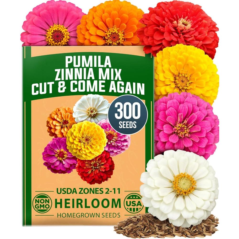 imageHOME GROWN Dwarf Zinnia Seeds Mix  600 Pumila Zinnia Seeds for 2026 06g  Zinnia Flower Seeds for Planting Outdoors  Colorful Cut Annual Flowers for Summer Gardens amp Containers Zinnia elegansZinnia Pumila 1pk