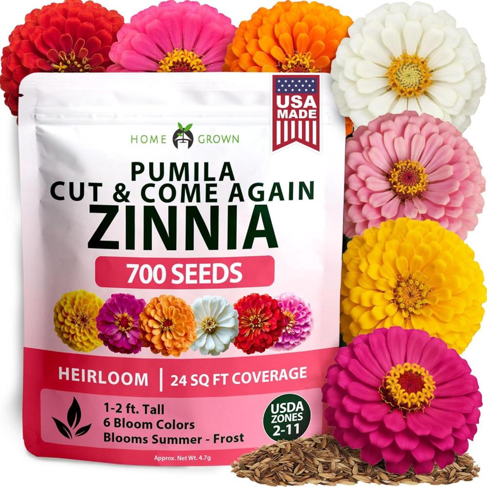 imageHOME GROWN Dwarf Zinnia Seeds Mix  700 Pumila Zinnias Seeds for 2026  Zinna Flower Seed for Planting Outdoors  Colorful Cut Annual Flowers for Summer Gardens amp Containers Zinnia elegans