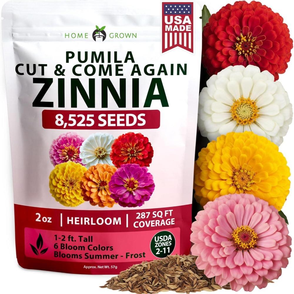 imageHOME GROWN Dwarf Zinnia Seeds Mix  8525 Pumila Zinnia Seeds for 2026 2oz  Zinnia Flower Seeds for Planting Outdoors  Colorful Cut Annual Flowers for Summer Gardens amp Containers Zinnia elegans