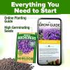 imageHOME GROWN Bachelor Button Flower Seeds Tall Mix 700 Cornflower Heirloom Seeds for Planting  Quick Blooming NonGMO Pollinator Friendly Easy to Grow Wildflowers USA Grown Centaurea cyanusRock Cress Purple