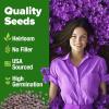 imageHOME GROWN Bachelor Button Flower Seeds Tall Mix 700 Cornflower Heirloom Seeds for Planting  Quick Blooming NonGMO Pollinator Friendly Easy to Grow Wildflowers USA Grown Centaurea cyanusRock Cress Purple