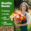 imageHOME GROWN Dwarf Zinnia Seeds Mix  600 Pumila Zinnia Seeds for 2026 06g  Zinnia Flower Seeds for Planting Outdoors  Colorful Cut Annual Flowers for Summer Gardens amp Containers Zinnia elegansZinnia Pumila 2pk