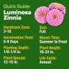 imageHOME GROWN Pink Zinnia Seeds  300 Luminosa Zinnias 05g Easy to Grow Annual Flower Seeds for Planting Outdoors for 2026 Fast Blooming Heat Tolerant Herb Seed Garden Companion Zinnia elegansZinnia Luminosa 2pk