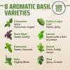 imageRooted Acre 8 Basil Herb Seeds Pack  4000   Heirloom Seeds  Genovese Thai Lemon Holy Tulsi amp More  High Germination Culinary Basil Seeds for Indoor amp Outdoor Planting