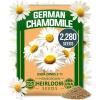 German Chamomile