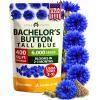 imageHOME GROWN Bachelor Button Flower Seeds Tall Mix 700 Cornflower Heirloom Seeds for Planting  Quick Blooming NonGMO Pollinator Friendly Easy to Grow Wildflowers USA Grown Centaurea cyanusBachelor Button