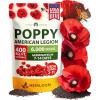 Poppy