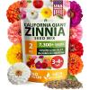 Zinnia California