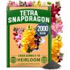Snapdragon Tetra