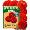 Zinnia Will Rogers