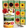 8 Varieties Sunflower