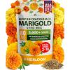 Marigold