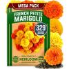 Marigold Petite