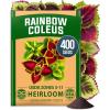 imageHOME GROWN Coleus Rainbow Seeds  400 Count 004 oz Flower Seed Coleus scutellarioides Rainbow Indoor Plant Seeds for Containers Shade Gardens Decorative Multicolor Foliage