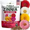 imageHOME GROWN Dwarf Zinnia Seeds Mix  8525 Pumila Zinnia Seeds for 2026 2oz  Zinnia Flower Seeds for Planting Outdoors  Colorful Cut Annual Flowers for Summer Gardens amp Containers Zinnia elegans