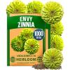 imageHOME GROWN Envy Zinnia Seeds 1g  1000 Rare Lime Green Annual Zinnia Flower Seeds for Planting FastGrowing HeatLoving Variety Premium Herb Seeds Garden Companion for 2026 Blooms Zinnia elegansZinnia Envy 2pk