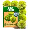 imageHOME GROWN Envy Zinnia Seeds 1g  1000 Rare Lime Green Annual Zinnia Flower Seeds for Planting FastGrowing HeatLoving Variety Premium Herb Seeds Garden Companion for 2026 Blooms Zinnia elegansZinnia Envy 1pk