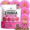 imageHOME GROWN Pink Zinnia Seeds  1500 Luminosa Zinnias Easy to Grow Annual Flower Seeds for Planting Outdoors for 2026 Fast Blooming Heat Tolerant Herb Seed Garden Companion Zinnia elegans