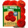 imageHOME GROWN Will Rogers Zinnia Seeds  150 Zinnia Flower Seeds for Planting Outdoors  Tall Zinnia Elegans Cut Flowers  Heirloom NonGMO Zinnia Seeds for 2026Will Rogers Zinnia 2pk