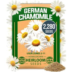 imageHOME GROWN Bachelor Button Flower Seeds Tall Mix 700 Cornflower Heirloom Seeds for Planting  Quick Blooming NonGMO Pollinator Friendly Easy to Grow Wildflowers USA Grown Centaurea cyanusGerman Chamomile