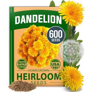 imageHOME GROWN Bachelor Button Flower Seeds Tall Mix 700 Cornflower Heirloom Seeds for Planting  Quick Blooming NonGMO Pollinator Friendly Easy to Grow Wildflowers USA Grown Centaurea cyanusDandelion